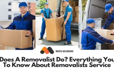 What Does A Removalist Do? Everything You Need To Know About Removalists Service