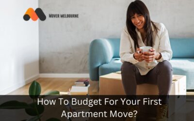 How To Budget For Your First Apartment Move?