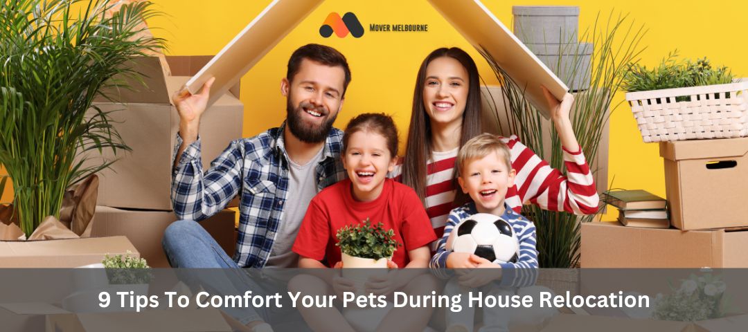 9 Tips To Comfort Your Pets During House Relocation