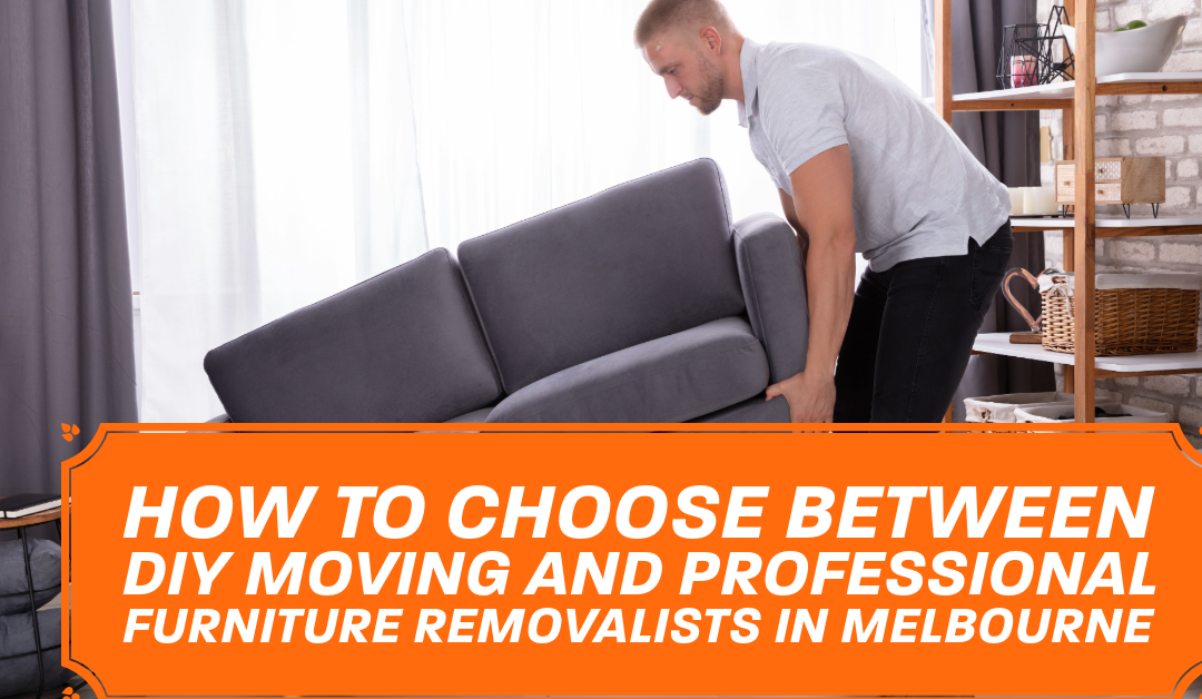 How to Choose Between DIY Moving and Professional Furniture Removalists in Melbourne