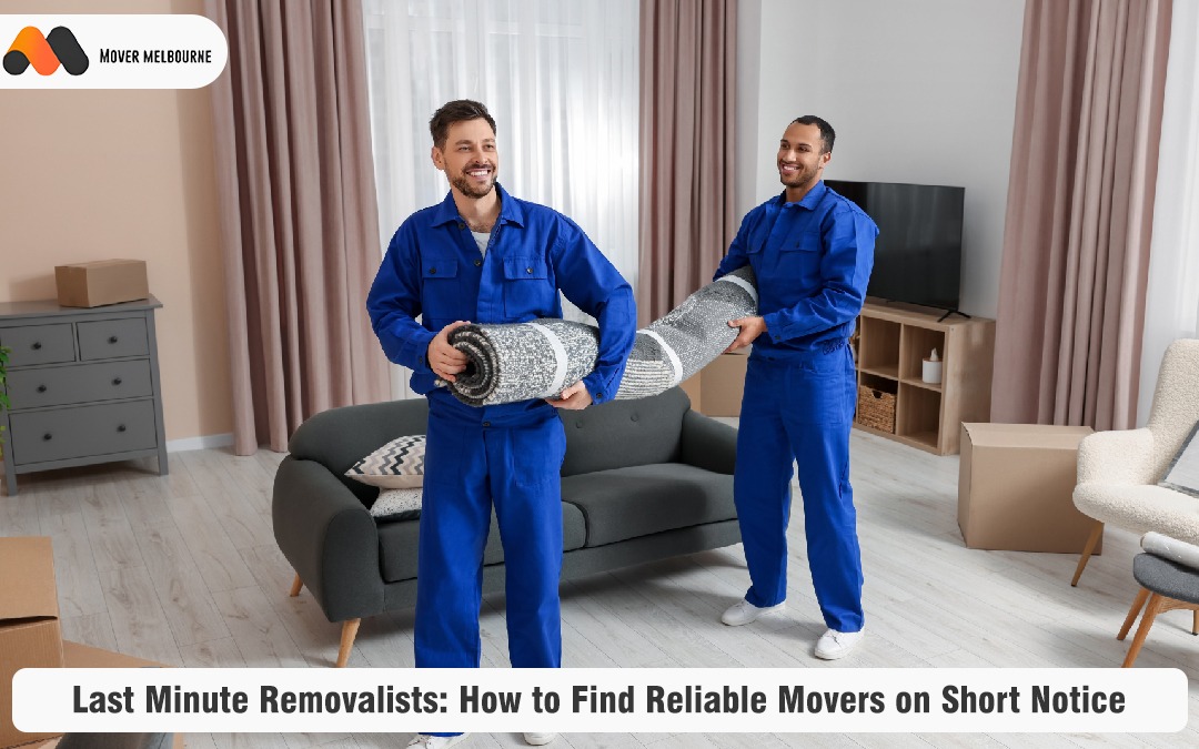 Last Minute Removalists: How to Find Reliable Movers on Short Notice